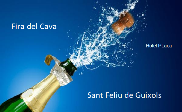 11 ª Fira del CAVA